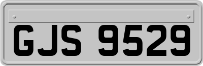 GJS9529