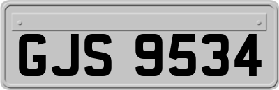 GJS9534