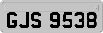 GJS9538