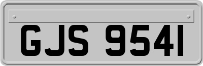 GJS9541