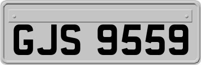 GJS9559