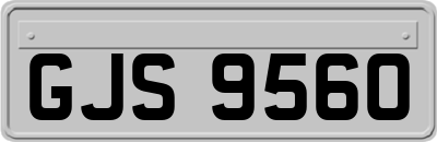 GJS9560