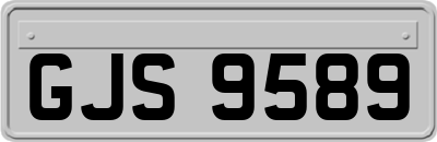 GJS9589