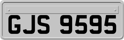 GJS9595