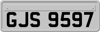 GJS9597