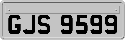 GJS9599