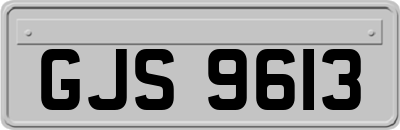 GJS9613