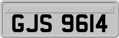GJS9614