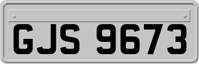 GJS9673