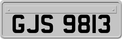 GJS9813
