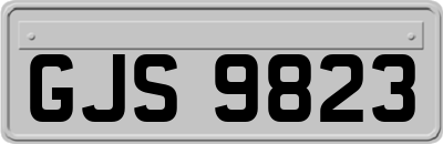 GJS9823