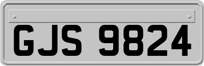 GJS9824