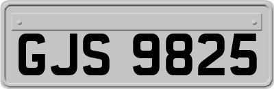GJS9825
