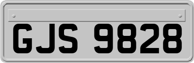 GJS9828