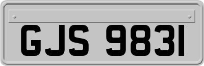 GJS9831