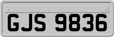 GJS9836