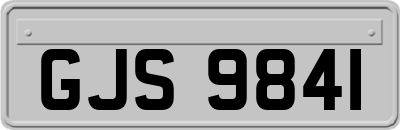 GJS9841