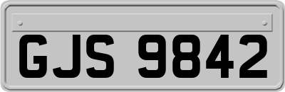 GJS9842