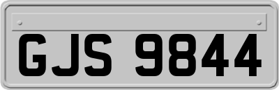 GJS9844