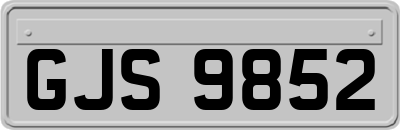 GJS9852