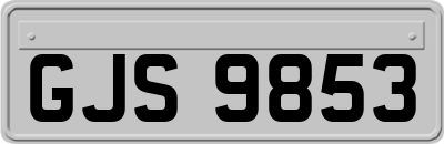 GJS9853