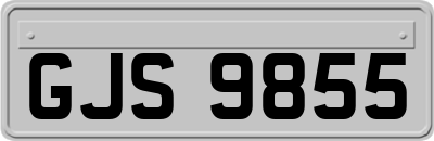 GJS9855