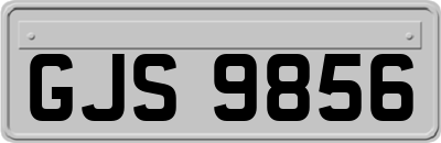 GJS9856