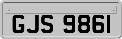 GJS9861