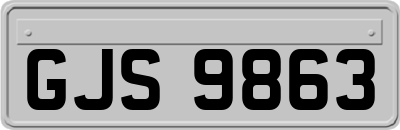GJS9863