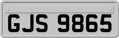 GJS9865