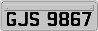 GJS9867
