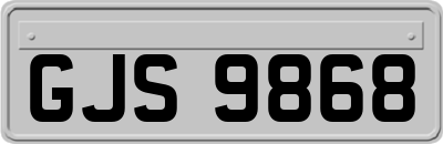 GJS9868