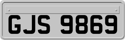 GJS9869