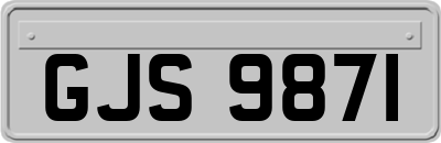 GJS9871