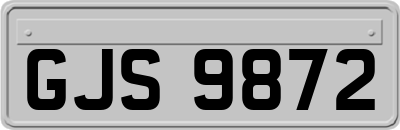 GJS9872