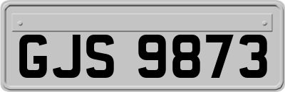 GJS9873