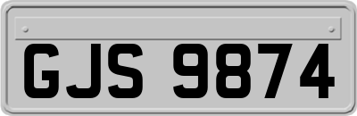 GJS9874