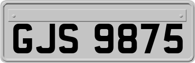 GJS9875