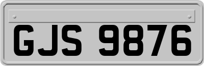 GJS9876