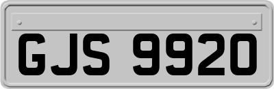 GJS9920