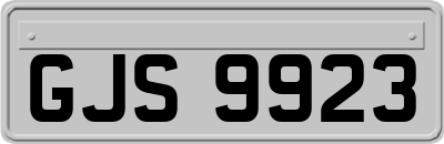 GJS9923