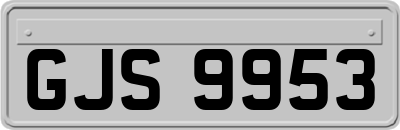 GJS9953