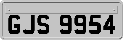 GJS9954