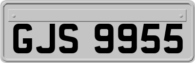 GJS9955