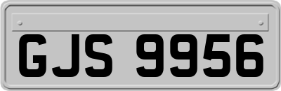 GJS9956