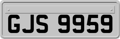 GJS9959