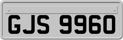 GJS9960