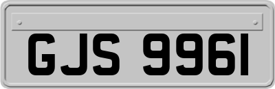GJS9961