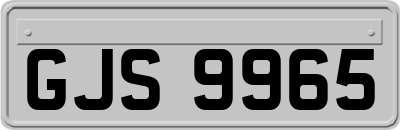 GJS9965