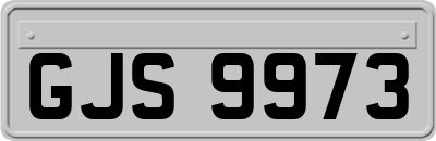 GJS9973